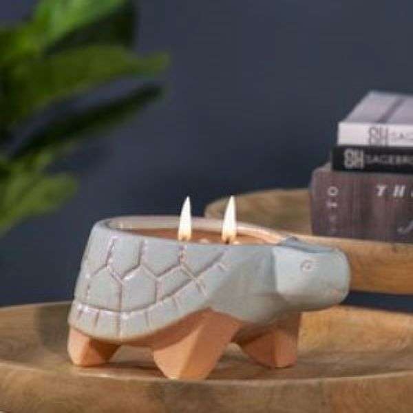 POTTED TURTLE CANDLE Thumbnail
