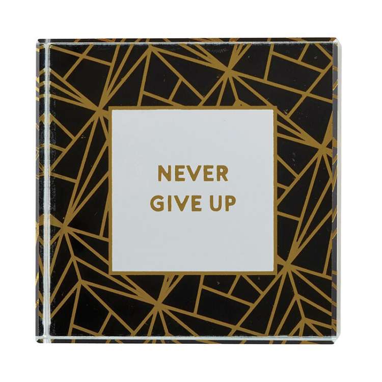 PAPER WEIGHT NEVER GIVE UP Thumbnail