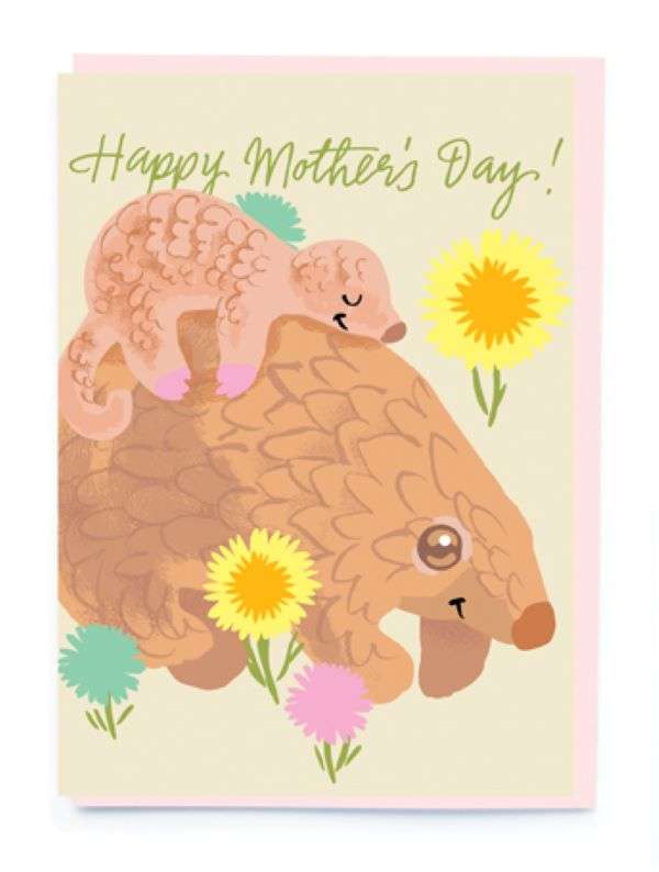 HAPPY MOTHER'S DAY ARMADILLO CARD Thumbnail